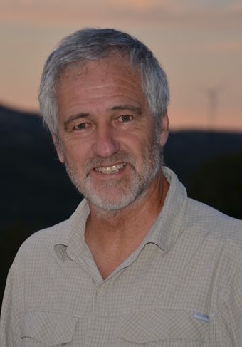 Ramón Méndez Galain | President, REN21