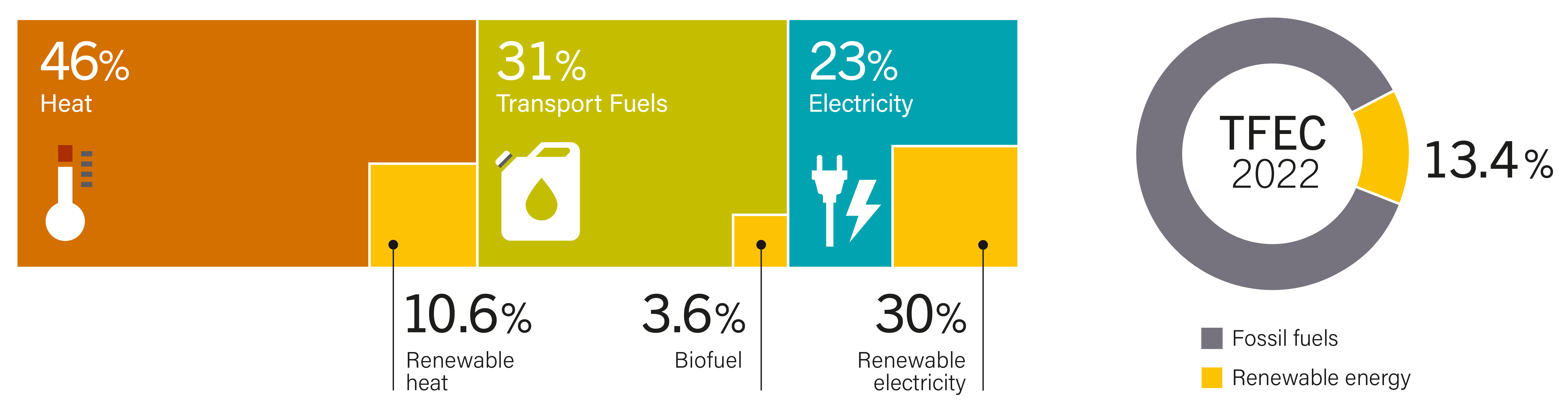 Total Final Consumption and Share of Modern Renewable Energy, by Energy Carrier, 2022